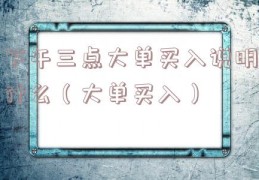 下午三点大单买入说明什么（大单买入）