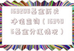 163208基金历史净值查询（163406基金分红情况）