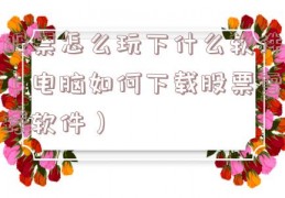 股票怎么玩下什么软件（电脑如何下载股票雪球软件）