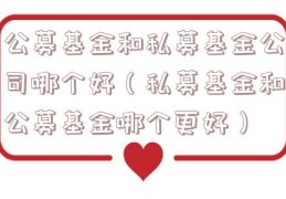 公募基金和私募基金公司哪个好（私募基金和公募基金哪个更好）