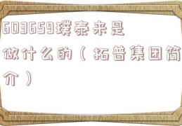 603659璞泰来是做什么的（拓普集团简介）