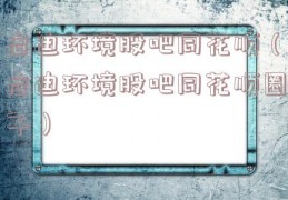 启迪环境股吧同花顺（启迪环境股吧同花顺圈子）