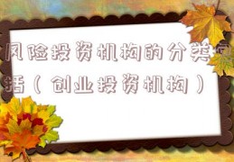 风险投资机构的分类包括（创业投资机构）