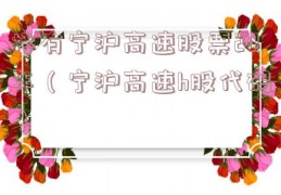 持有宁沪高速股票20年（宁沪高速h股代码）
