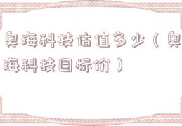 奥海科技估值多少（奥海科技目标价）