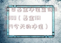 每日基金净值查询180003（基金161024今天的净值）