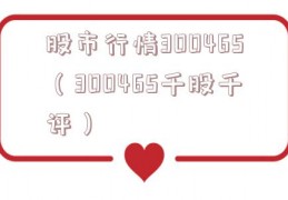股市行情300465（300465千股千评）