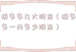 拼多多几大股东（拼多多一共多少股东）