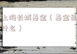 上海长城基金（基金是什么）