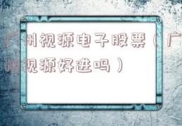 广州视源电子股票（广州视源好进吗）