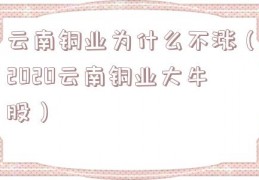 云南铜业为什么不涨（2020云南铜业大牛股）