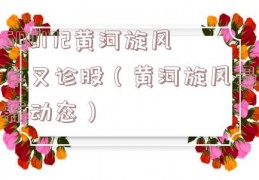 600172黄河旋风牛叉诊股（黄河旋风最新动态）