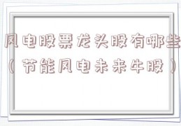 风电股票龙头股有哪些（节能风电未来牛股）