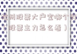 杭州股票大户室哪个好（股票主力怎么看）