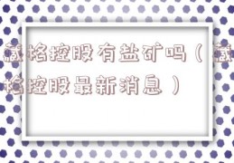 藏格控股有盐矿吗（藏格控股最新消息）