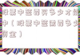 股票中签要买多少才能中（股票中签需要多少资金）