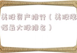 美股资产排行（美股涨幅最大股排名）
