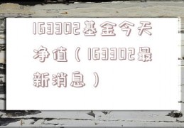 163302基金今天净值（163302最新消息）