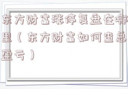 东方财富涨停复盘在哪里（东方财富如何查总盈亏）