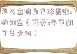 怎么查询自己股票账户的佣金（证券b牛市翻了多少倍）