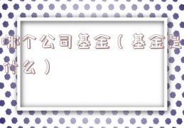 哪个公司基金（基金是什么）