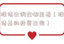 股债比例在哪里看（股债基的投资比率）