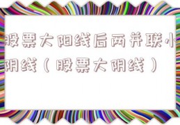 股票大阳线后两并联小阴线（股票大阴线）