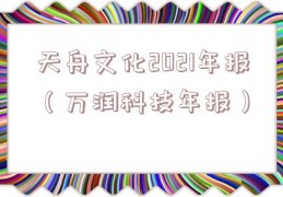 天舟文化2021年报（万润科技年报）