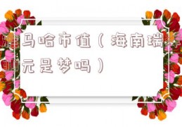 雅马哈市值（海南瑞泽30元是梦吗）