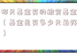 那只基金买的粮食基金（基金是买多少只最好）