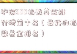 沪深300指数基金排行榜前十名（最好的指数基金排名）