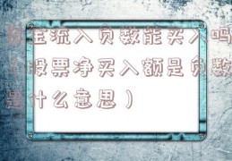 资金流入负数能买入吗（股票净买入额是负数是什么意思）