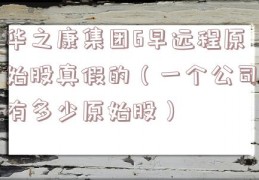 华之康集团6早远程原始股真假的（一个公司有多少原始股）