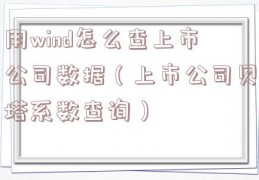 用wind怎么查上市公司数据（上市公司贝塔系数查询）