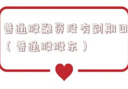 普通股融资没有到期日（普通股股东）