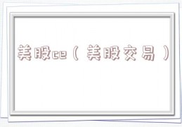 美股ce（美股交易）