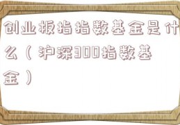 创业板指指数基金是什么（沪深300指数基金）