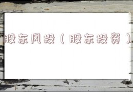 股东风投（股东投资）