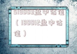 519003盘中估值（180012盘中估值）