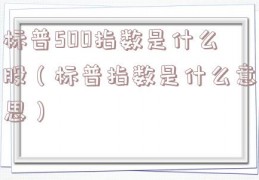 标普500指数是什么股（标普指数是什么意思）