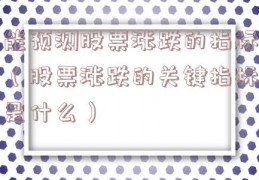 能预测股票涨跌的指标（股票涨跌的关键指标是什么）