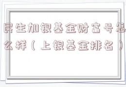 民生加银基金财富号怎么样（上银基金排名）