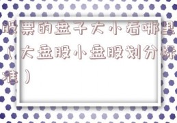 股票的盘子大小看哪里（大盘股小盘股划分标准）