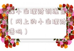 微淼小白理财训练营感悟（网上的小白理财课靠谱吗）