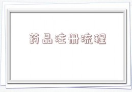 药品注册流程