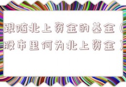 跟随北上资金的基金（股市里何为北上资金）
