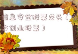 信息安全股票龙头（东方创业股票）