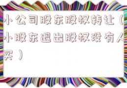 小公司股东股权转让（小股东退出股权没有人买）