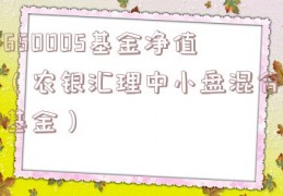 660005基金净值（农银汇理中小盘混合基金）
