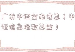 广发中证全指信息（中证信息指数基金）